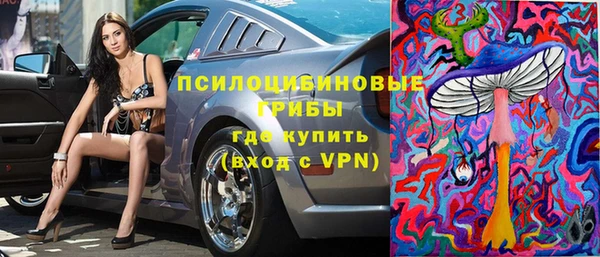 стаф Алексин
