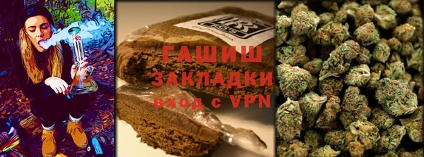стаф Алексин