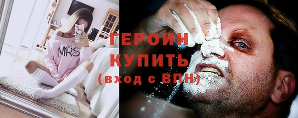 стаф Алексин