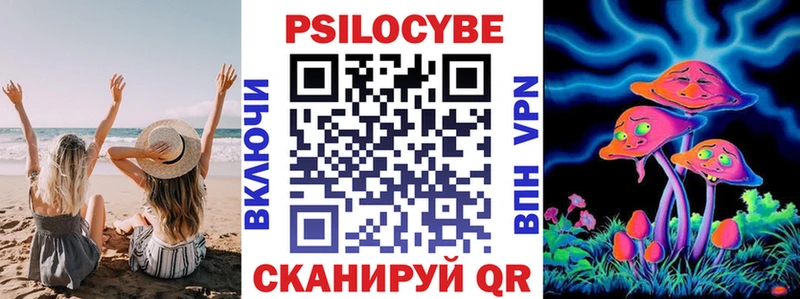 цена наркотик  Змеиногорск  Псилоцибиновые грибы Psilocybe 